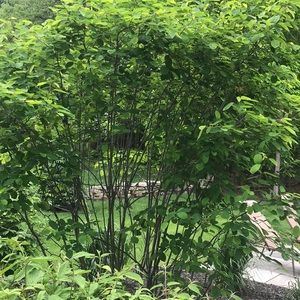 Meet your Posher, Heidi